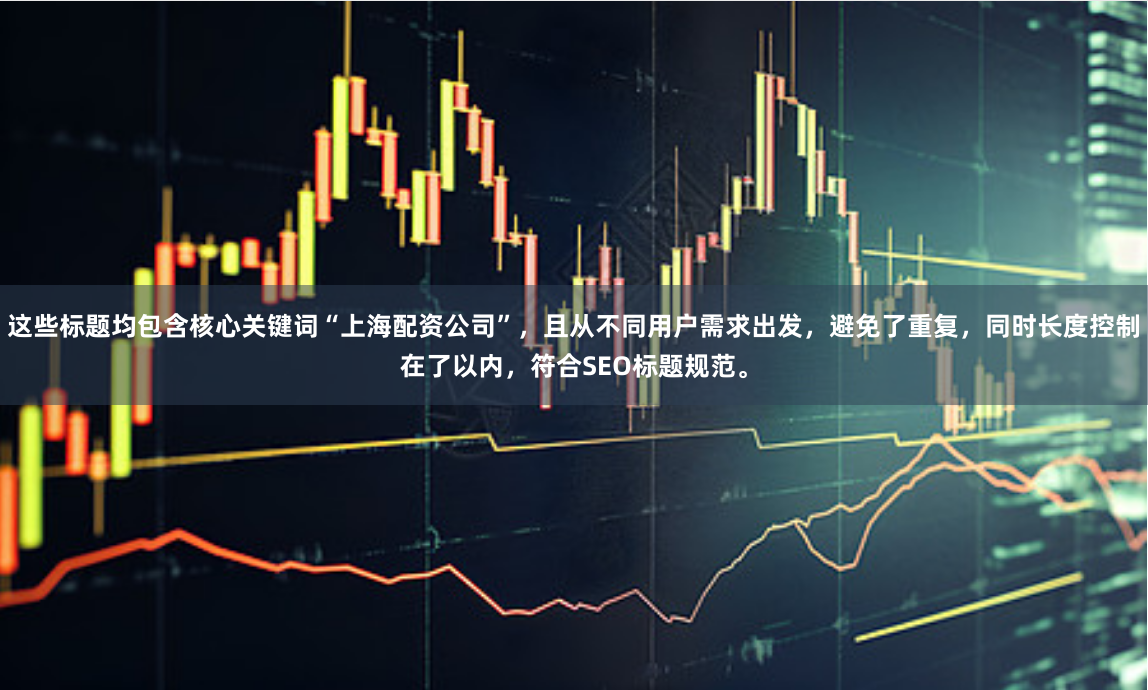 这些标题均包含核心关键词“上海配资公司”，且从不同用户需求出发，避免了重复，同时长度控制在了以内，符合SEO标题规范。